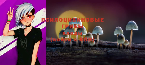 метадон Михайлов
