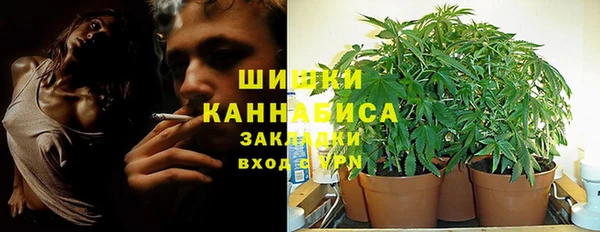 амф Михайловка