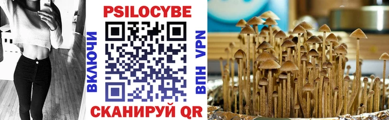 hydra сайт  Харабали  Псилоцибиновые грибы Psilocybine cubensis 